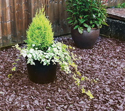 Applicazione Ardesia 1