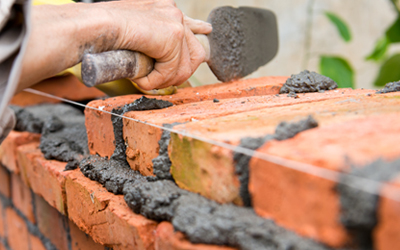 MB5 malta bastarda 2